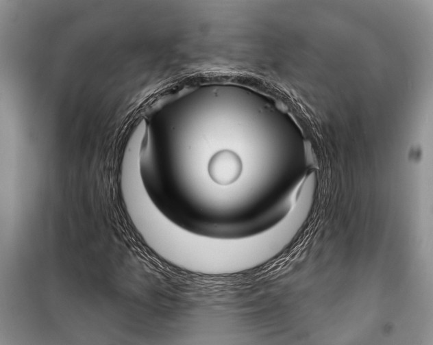 X0000098171157200805151110