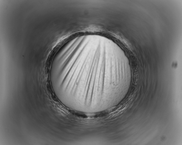 X0000098171160200805151110