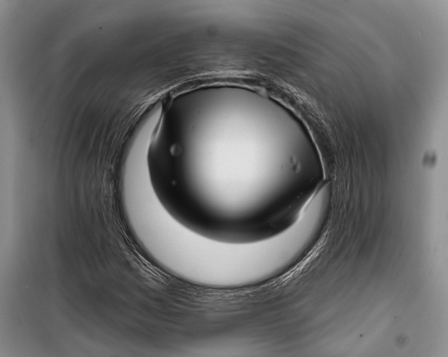 X0000098171161200805151110