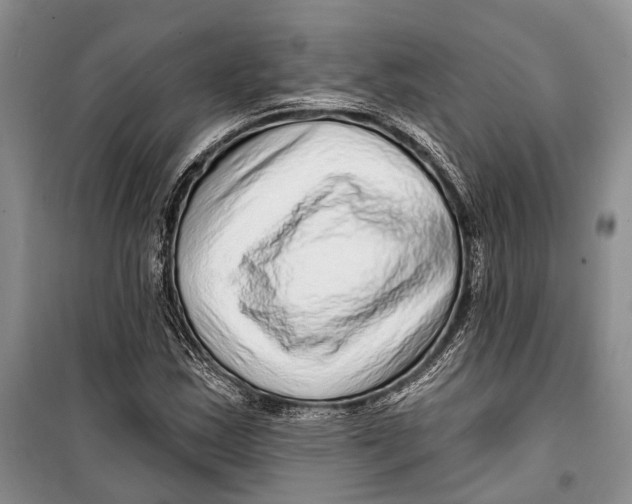 X0000098171163200805151110