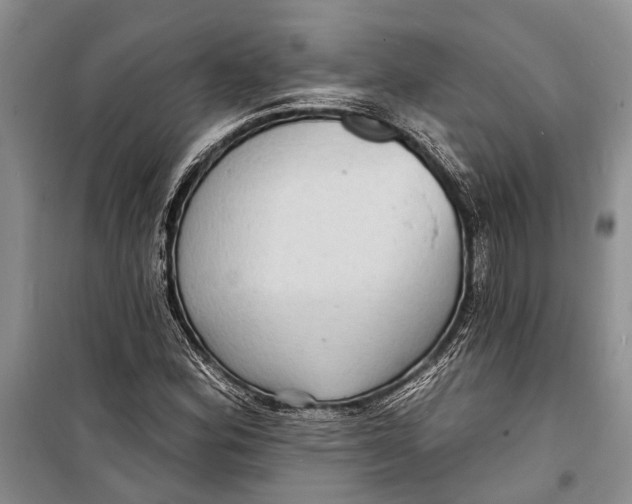 X0000098171164200805151110