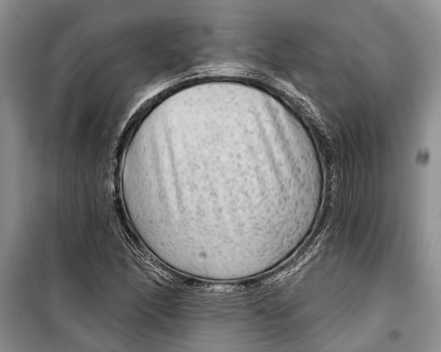 X0000098171166200805151110