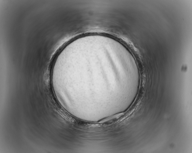 X0000098171167200805151109