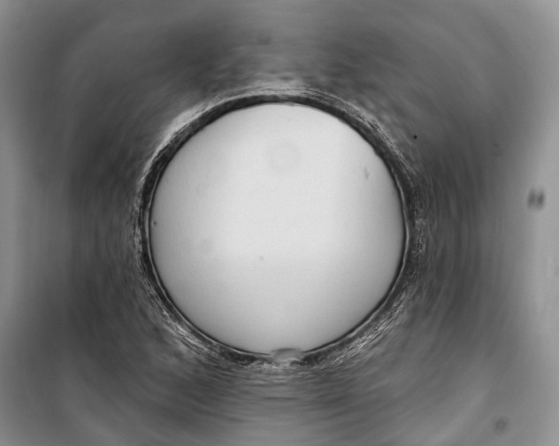 X0000098171168200805151109