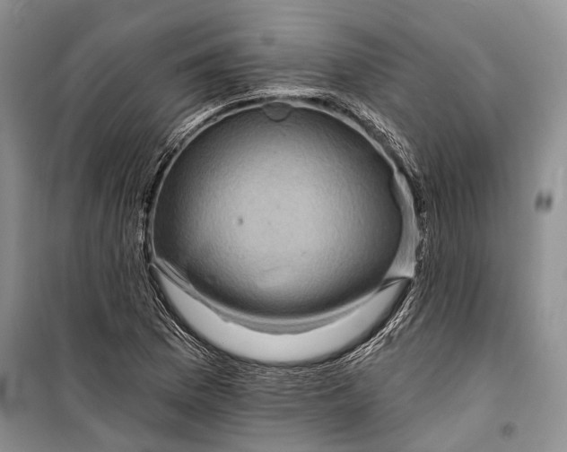 X0000098171169200805151109