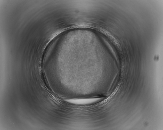 X0000098171170200805151109