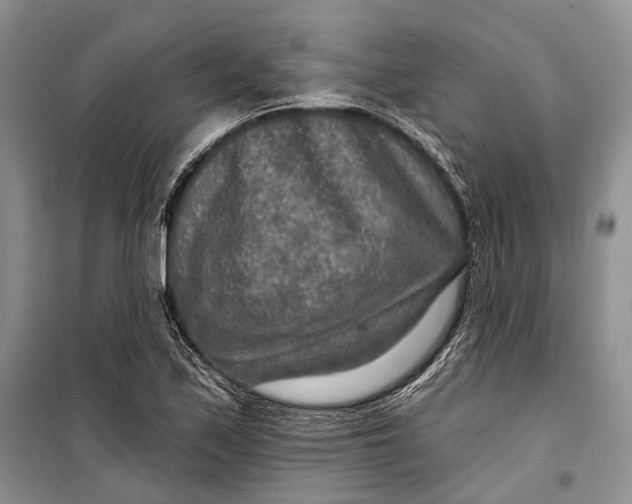 X0000098171171200805151109