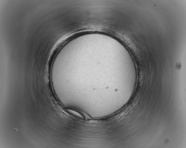 X0000098171172200805151109