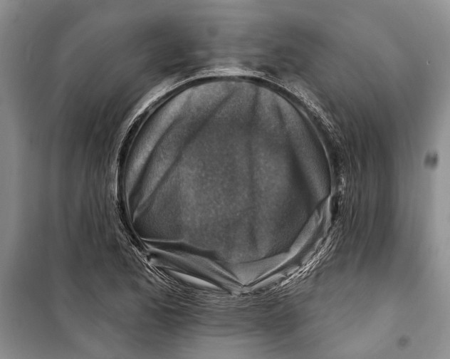 X0000098171173200805151109