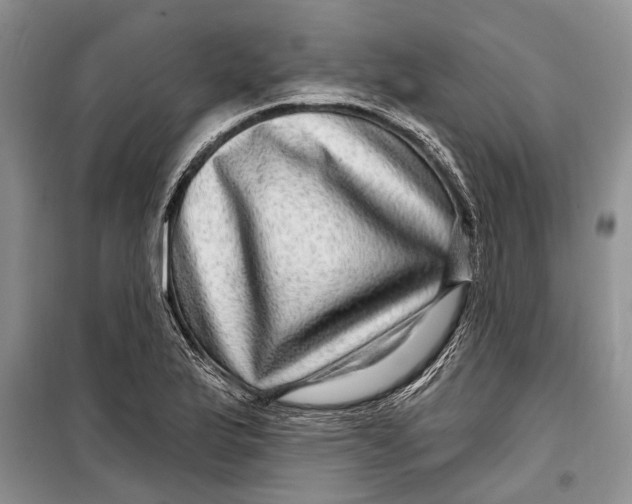 X0000098171175200805151109