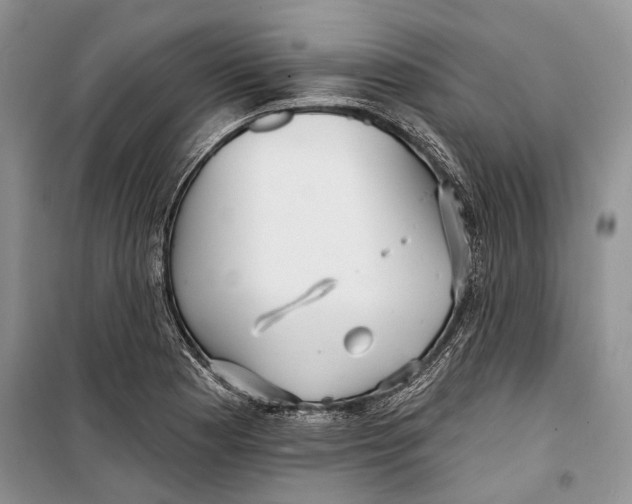 X0000098171177200805151109