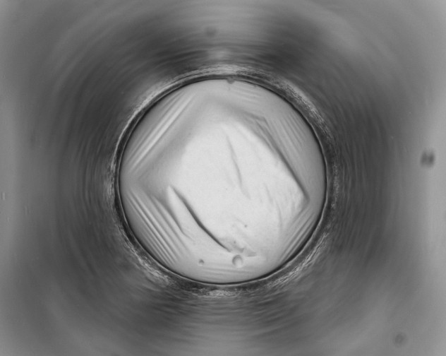 X0000098171178200805151109