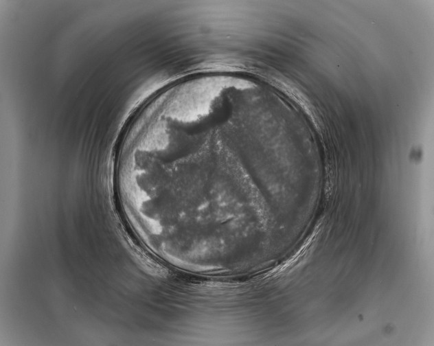 X0000098171179200805151109