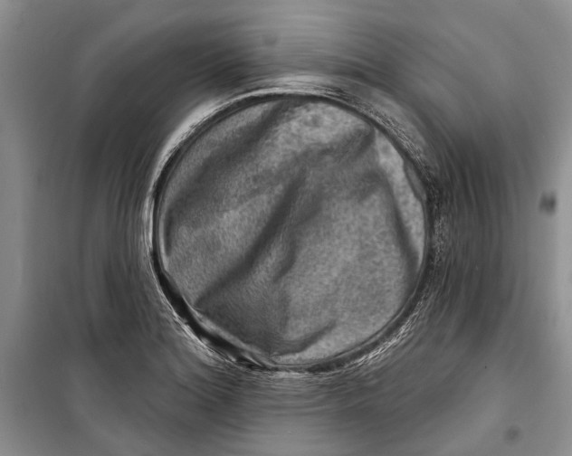 X0000098171180200805151109