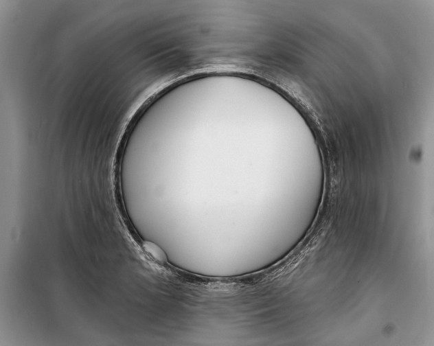 X0000098171181200805151109