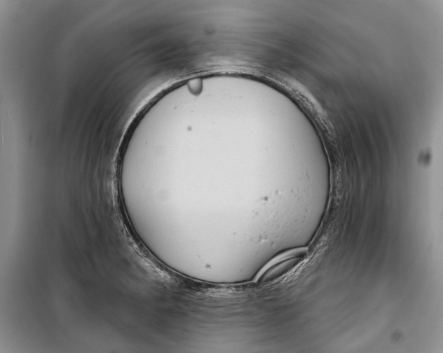 X0000098171182200805151109