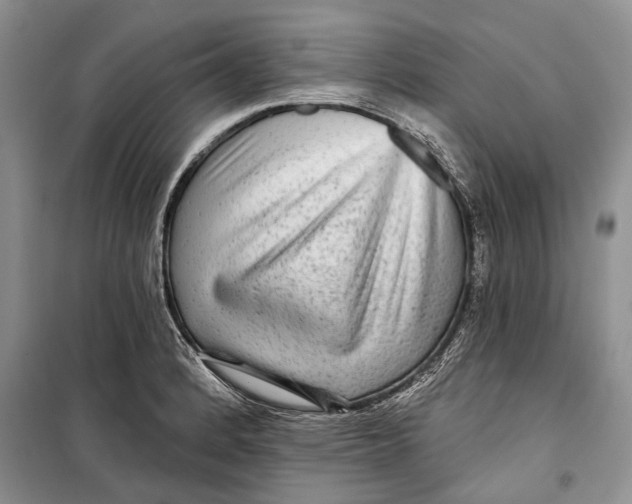 X0000098171184200805151109