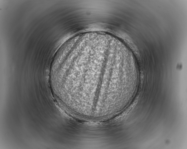 X0000098171185200805151109