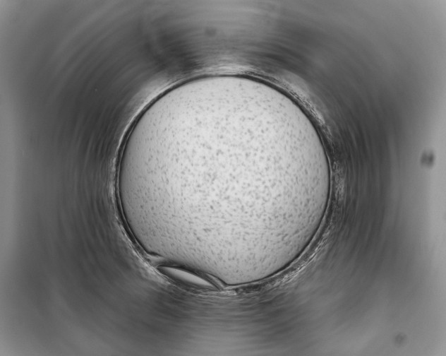 X0000098171186200805151109