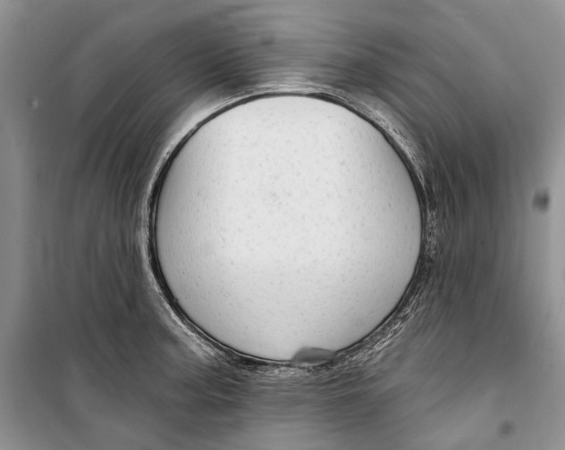 X0000098171187200805151109