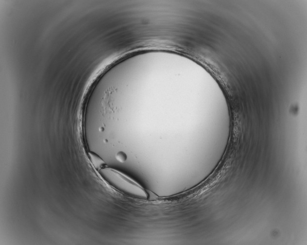 X0000098171188200805151109