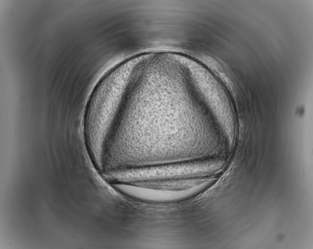 X0000098171189200805151109