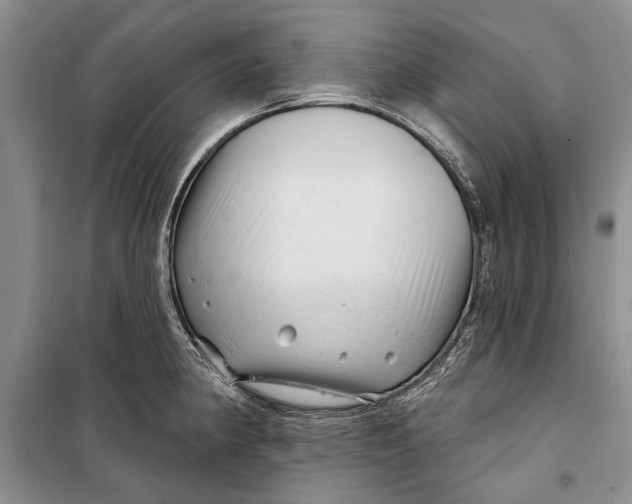 X0000098171190200805151109