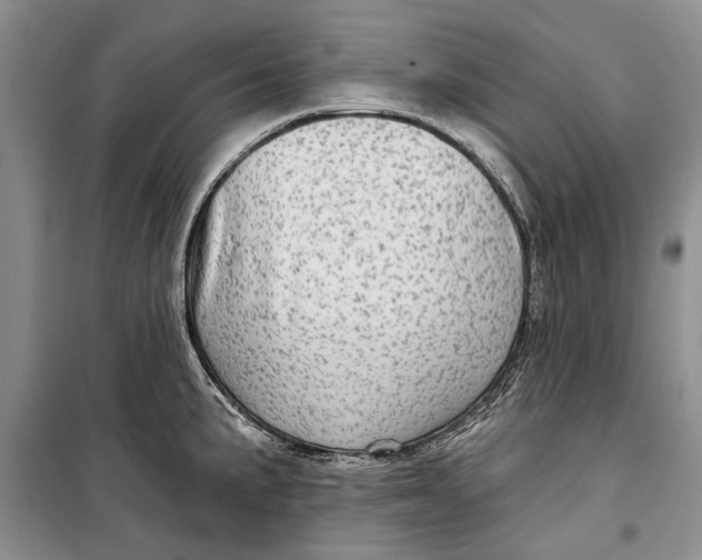 X0000098171191200805151109