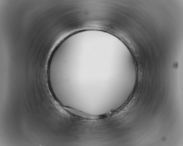 X0000098171192200805151109