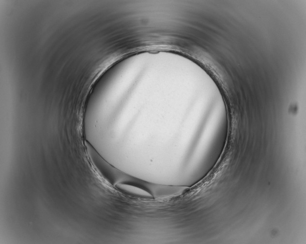 X0000098171193200805151109