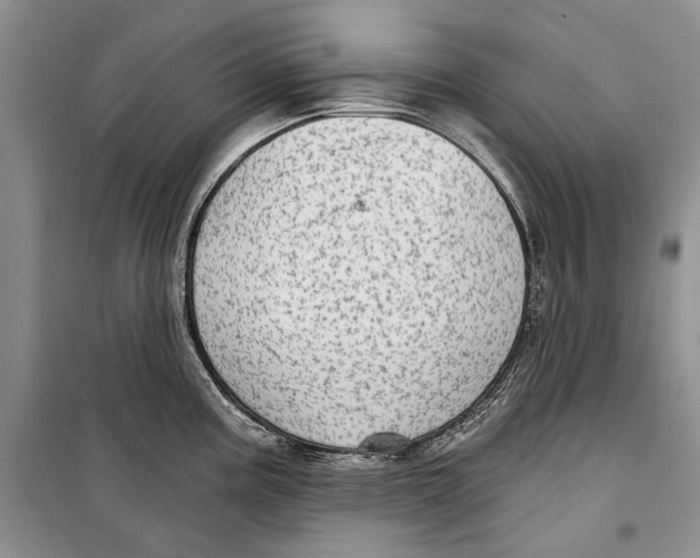 X0000098171195200805151109