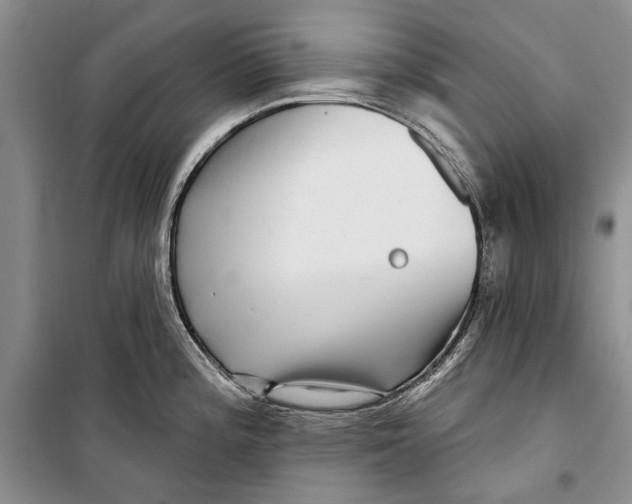 X0000098171196200805151109