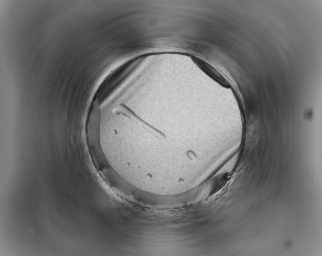 X0000098171197200805151109