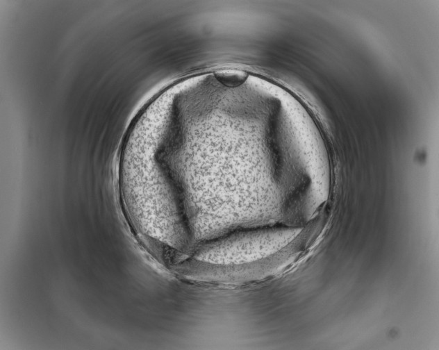 X0000098171198200805151109