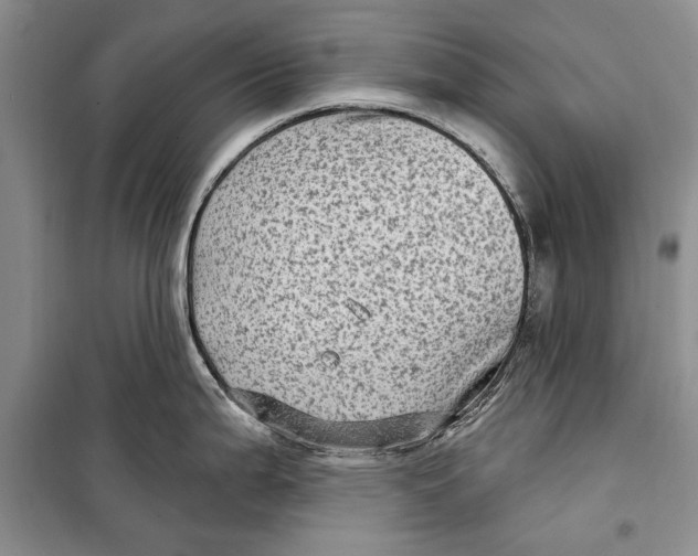 X0000098171199200805151109