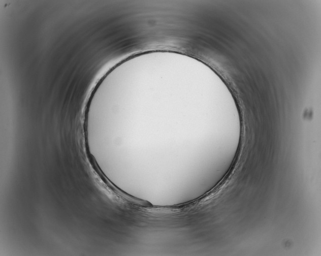 X0000098171200200805151109