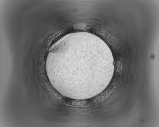 X0000098171201200805151108