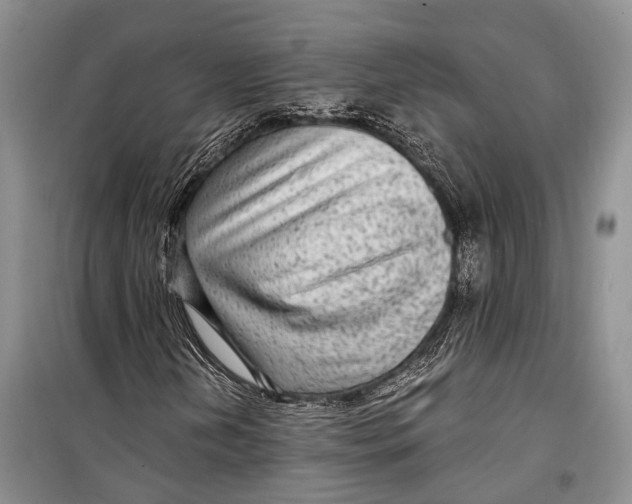 X0000098171202200805151108