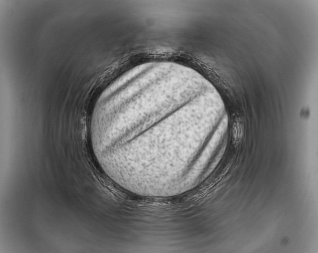 X0000098171204200805151108