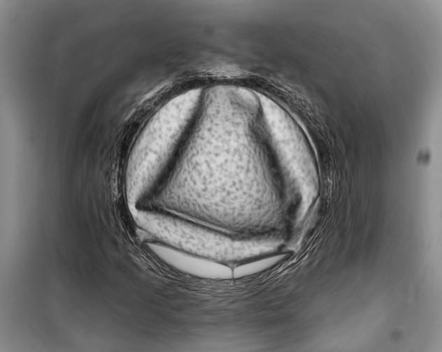 X0000098171205200805151108