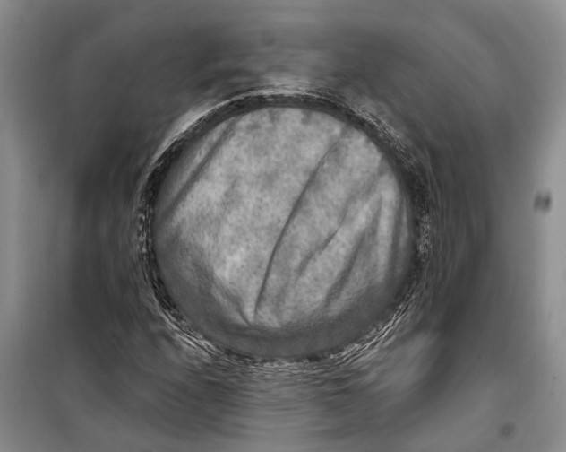 X0000098171208200805151108