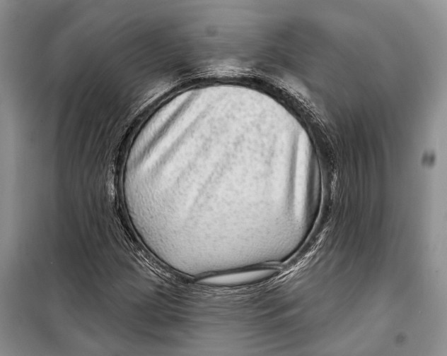 X0000098171209200805151108