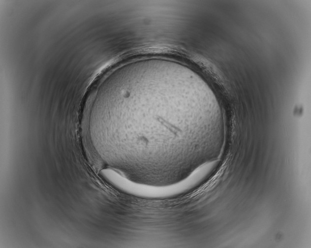 X0000098171210200805151108