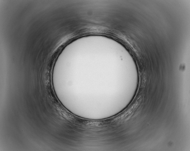 X0000098171211200805151108