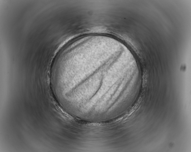 X0000098171212200805151109