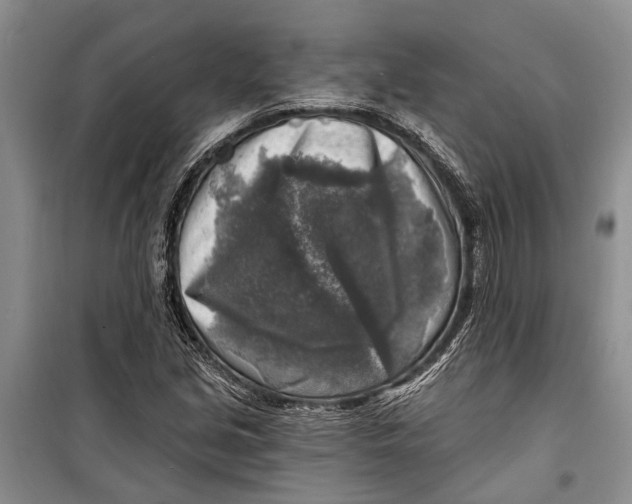 X0000098171213200805151109