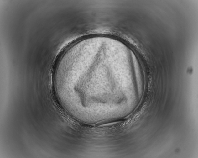 X0000098171214200805151109