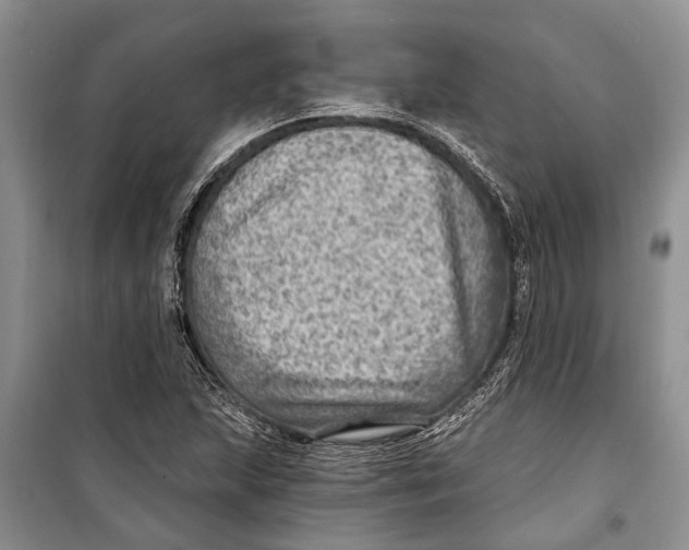 X0000098171215200805151109