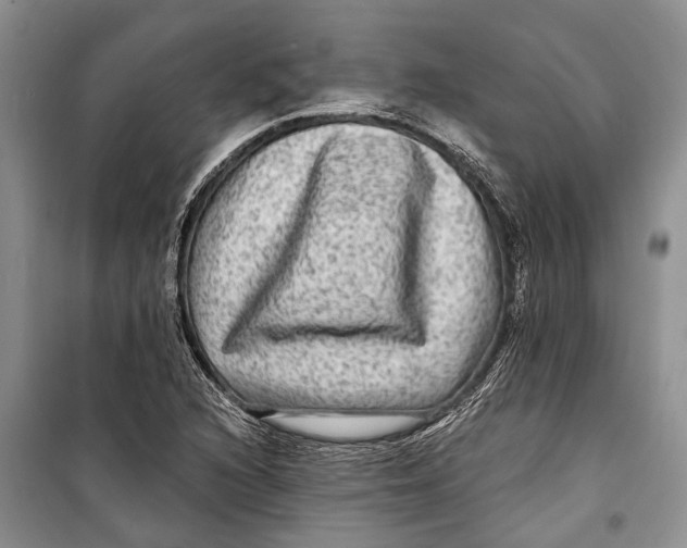 X0000098171216200805151109