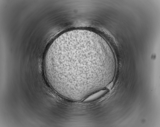 X0000098171217200805151109